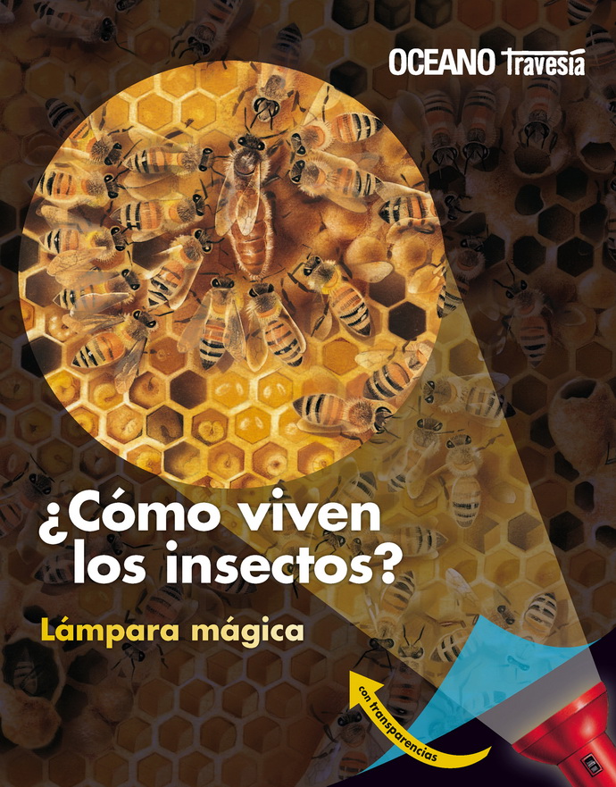 ¿Cómo viven los insectos?