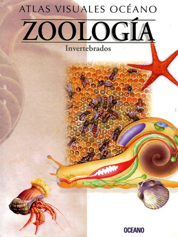 Atlas visual de zoología invertebrados