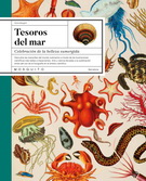 Tesoros del mar. Celebración de la belleza sumergida