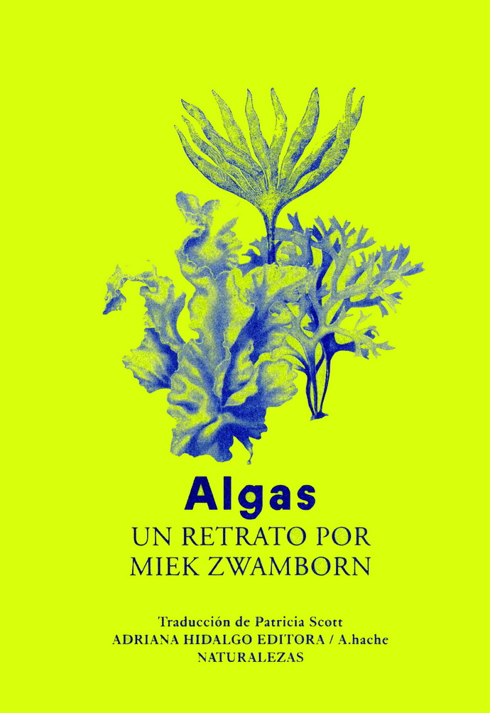 Algas