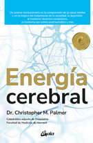 Energía cerebral