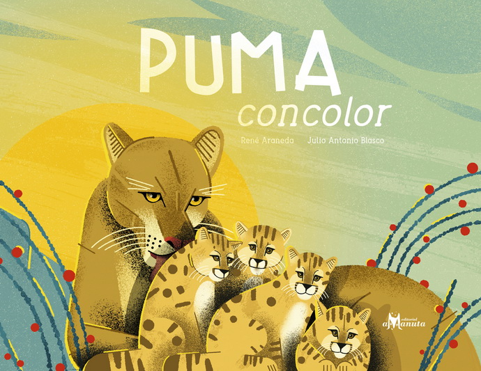 Puma concolor