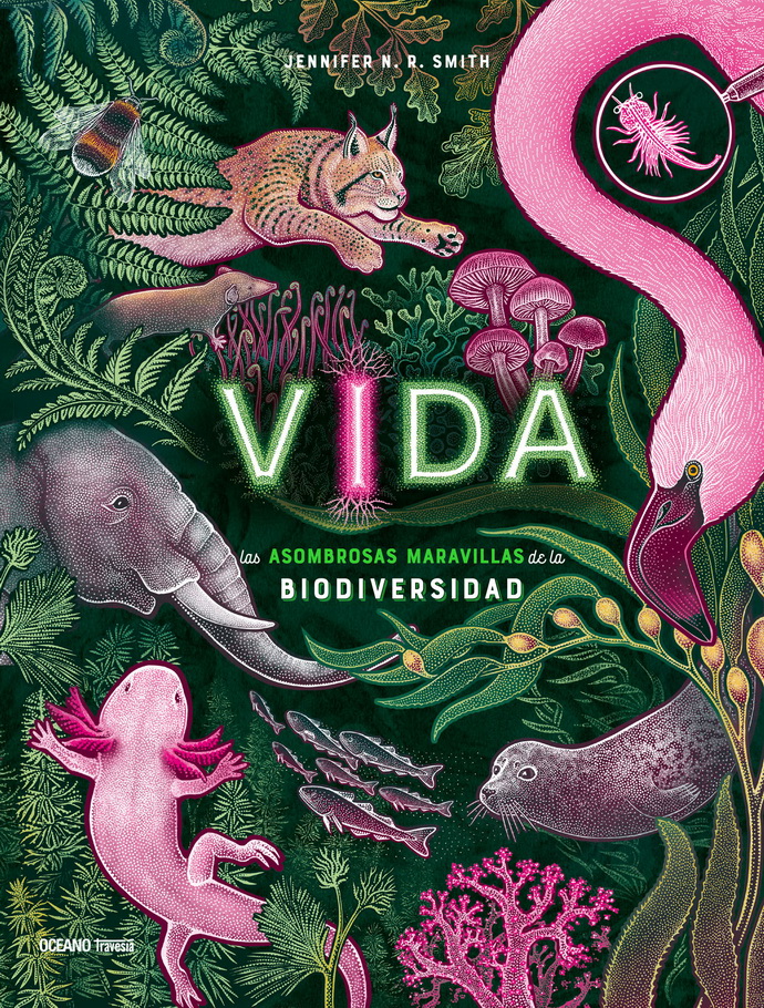 Vida