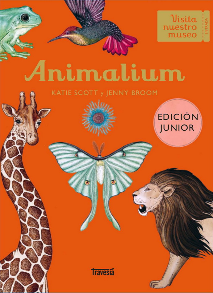Animalium. Edición júnior 